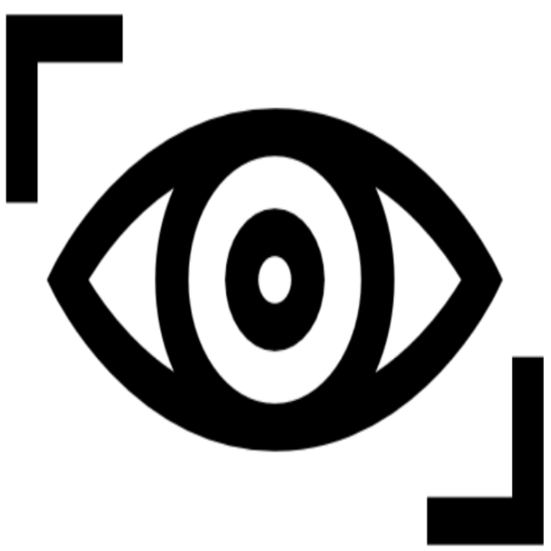 Our vision icon